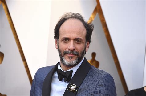 luca guadagnino oscar.